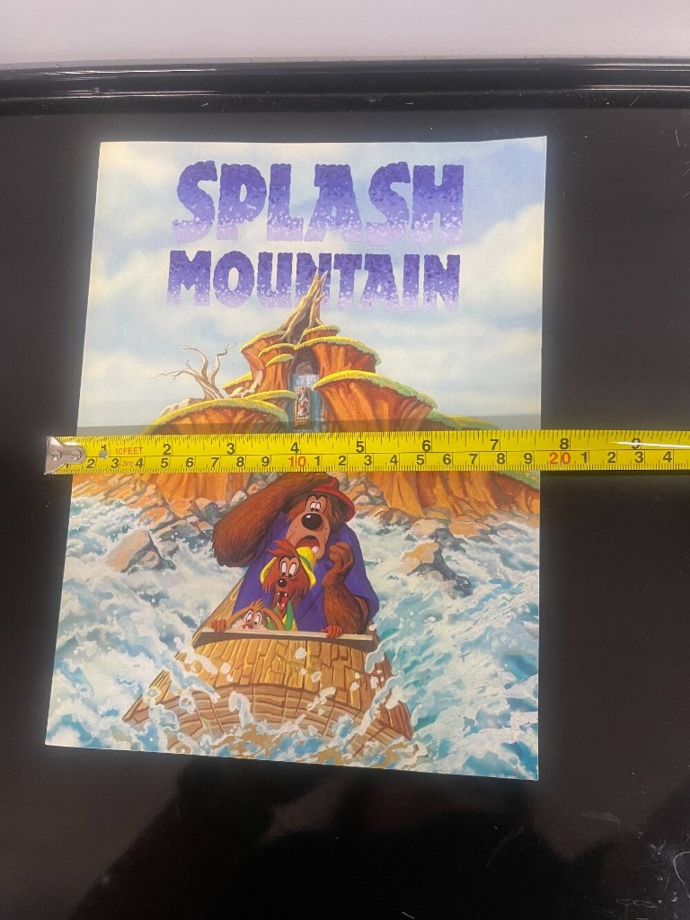 Disneyland Splash Mountain Ride Photo Frame Folder Disney Collectible - Picture 10 of 10